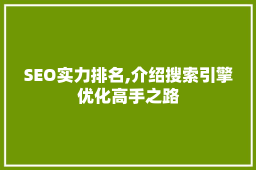 SEO实力排名,介绍搜索引擎优化高手之路