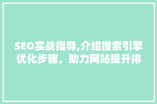 SEO实战指导,介绍搜索引擎优化步骤，助力网站提升排名