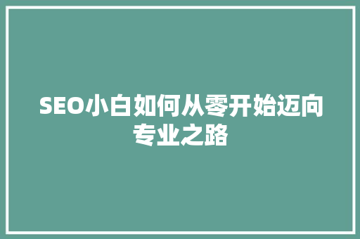 SEO小白如何从零开始迈向专业之路