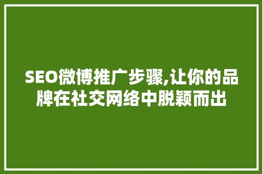 SEO微博推广步骤,让你的品牌在社交网络中脱颖而出