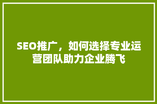 SEO推广，如何选择专业运营团队助力企业腾飞