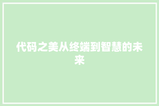 代码之美从终端到智慧的未来