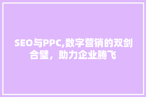 SEO与PPC,数字营销的双剑合璧，助力企业腾飞