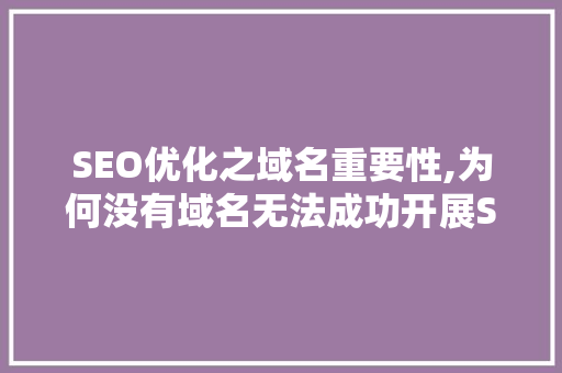 SEO优化之域名重要性,为何没有域名无法成功开展SEO