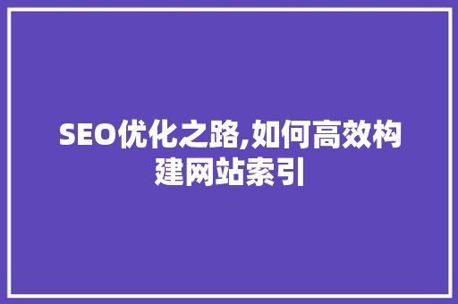 SEO优化之路,如何高效构建网站索引