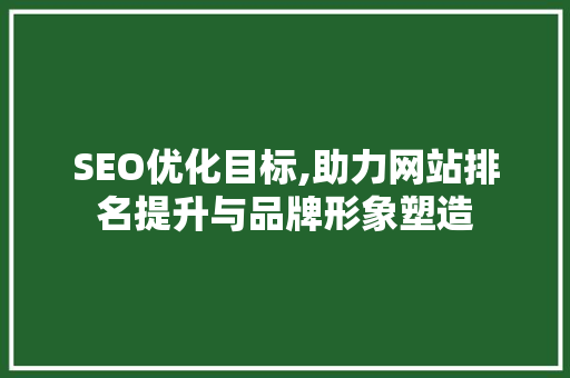 SEO优化目标,助力网站排名提升与品牌形象塑造