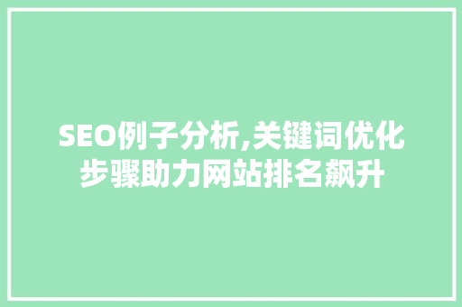 SEO例子分析,关键词优化步骤助力网站排名飙升