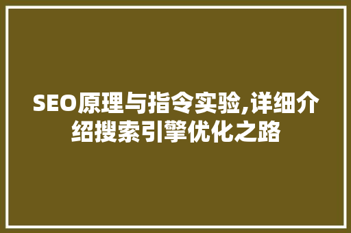 SEO原理与指令实验,详细介绍搜索引擎优化之路
