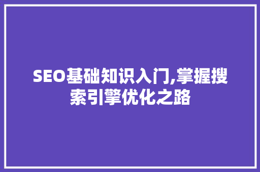 SEO基础知识入门,掌握搜索引擎优化之路