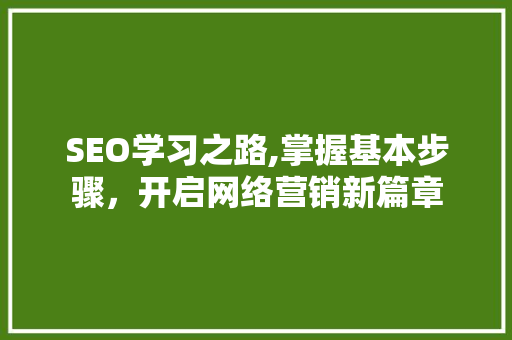 SEO学习之路,掌握基本步骤，开启网络营销新篇章