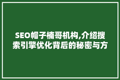 SEO帽子楠哥机构,介绍搜索引擎优化背后的秘密与方法