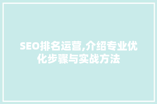 SEO排名运营,介绍专业优化步骤与实战方法