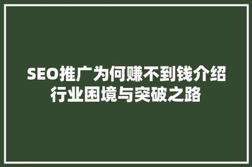 SEO推广为何赚不到钱介绍行业困境与突破之路