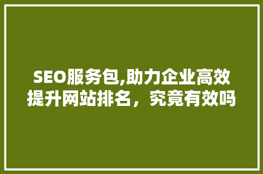 SEO服务包,助力企业高效提升网站排名，究竟有效吗