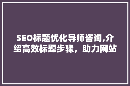 SEO标题优化导师咨询,介绍高效标题步骤，助力网站排名提升
