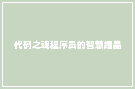 代码之魂程序员的智慧结晶