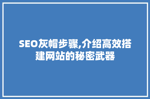 SEO灰帽步骤,介绍高效搭建网站的秘密武器