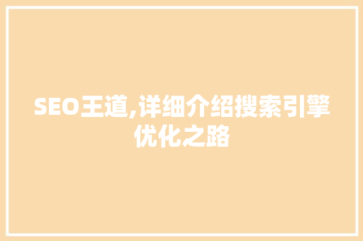 SEO王道,详细介绍搜索引擎优化之路