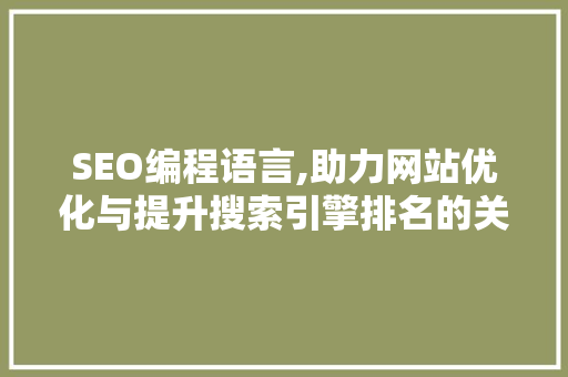 SEO编程语言,助力网站优化与提升搜索引擎排名的关键