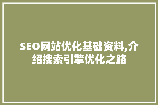 SEO网站优化基础资料,介绍搜索引擎优化之路