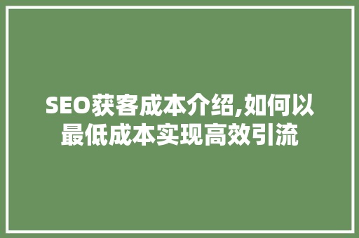 SEO获客成本介绍,如何以最低成本实现高效引流