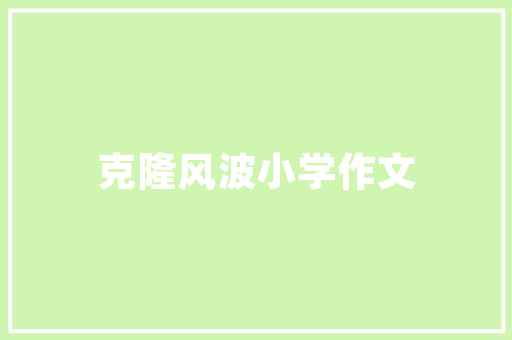 SEO被镜像处理方法全攻略,破解搜索引擎优化困境