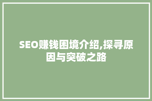 SEO赚钱困境介绍,探寻原因与突破之路