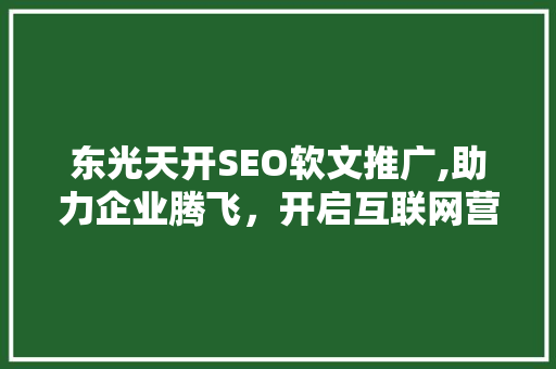 东光天开SEO软文推广,助力企业腾飞，开启互联网营销新篇章