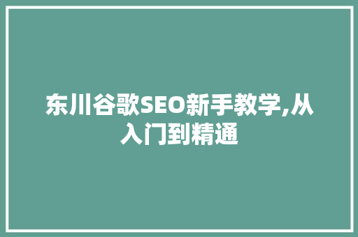 东川谷歌SEO新手教学,从入门到精通