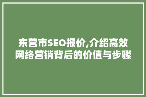 东营市SEO报价,介绍高效网络营销背后的价值与步骤