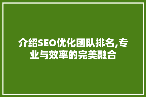 介绍SEO优化团队排名,专业与效率的完美融合