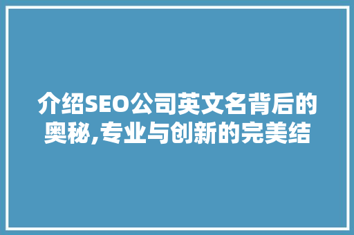 介绍SEO公司英文名背后的奥秘,专业与创新的完美结合