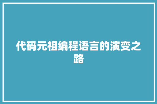 代码元祖编程语言的演变之路
