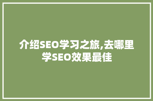 介绍SEO学习之旅,去哪里学SEO效果最佳