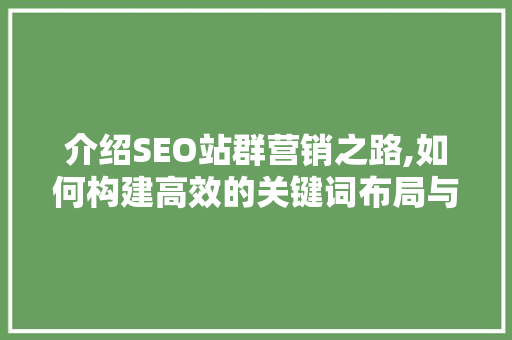 介绍SEO站群营销之路,如何构建高效的关键词布局与内容步骤