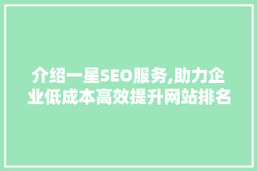 介绍一星SEO服务,助力企业低成本高效提升网站排名