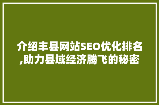 介绍丰县网站SEO优化排名,助力县域经济腾飞的秘密武器