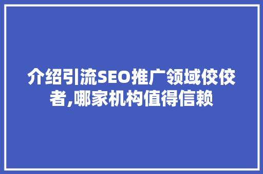 介绍引流SEO推广领域佼佼者,哪家机构值得信赖