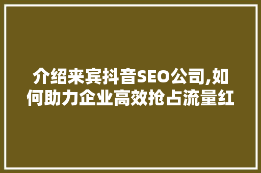 介绍来宾抖音SEO公司,如何助力企业高效抢占流量红利