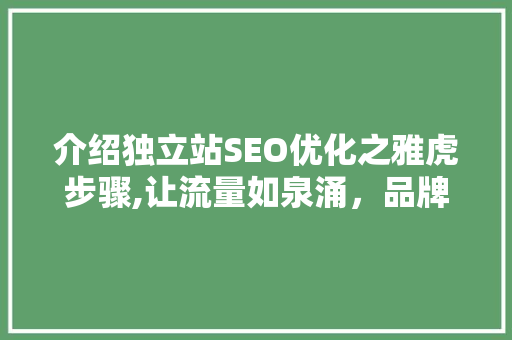 介绍独立站SEO优化之雅虎步骤,让流量如泉涌，品牌声名远扬  第1张