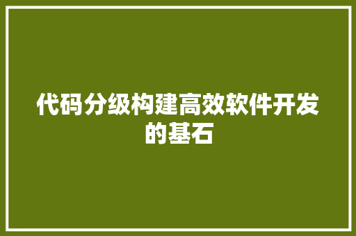 代码分级构建高效软件开发的基石