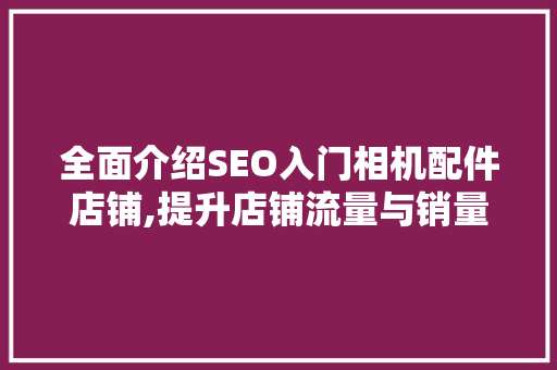 全面介绍SEO入门相机配件店铺,提升店铺流量与销量之路