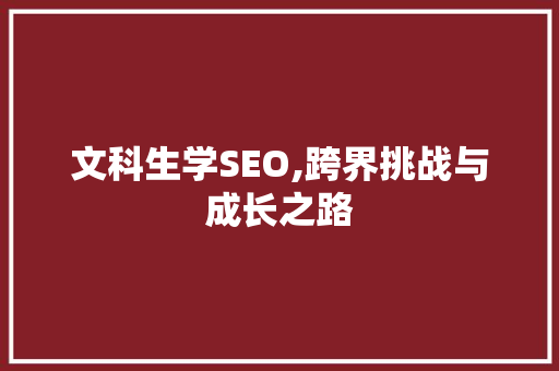 文科生学SEO,跨界挑战与成长之路