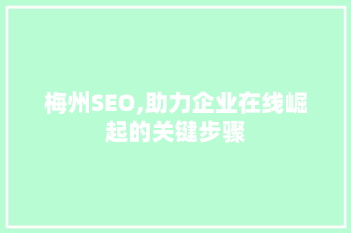 梅州SEO,助力企业在线崛起的关键步骤