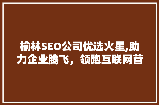 榆林SEO公司优选火星,助力企业腾飞，领跑互联网营销新篇章