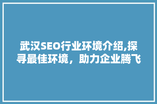 武汉SEO行业环境介绍,探寻最佳环境，助力企业腾飞