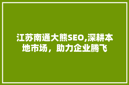江苏南通大熊SEO,深耕本地市场，助力企业腾飞