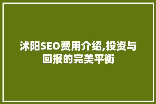沭阳SEO费用介绍,投资与回报的完美平衡