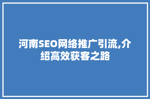 河南SEO网络推广引流,介绍高效获客之路