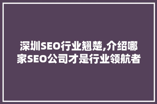 深圳SEO行业翘楚,介绍哪家SEO公司才是行业领航者